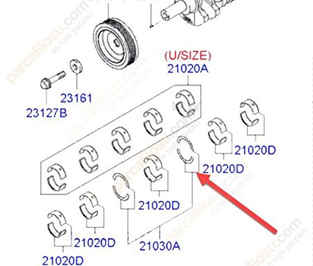 Hyundai H350 Gezi Ayı [Sahin] (210304A900)